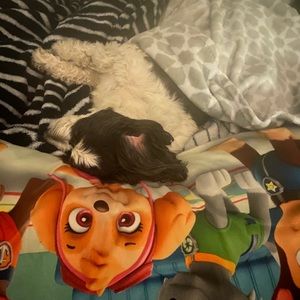 Meet your Posher, Milton